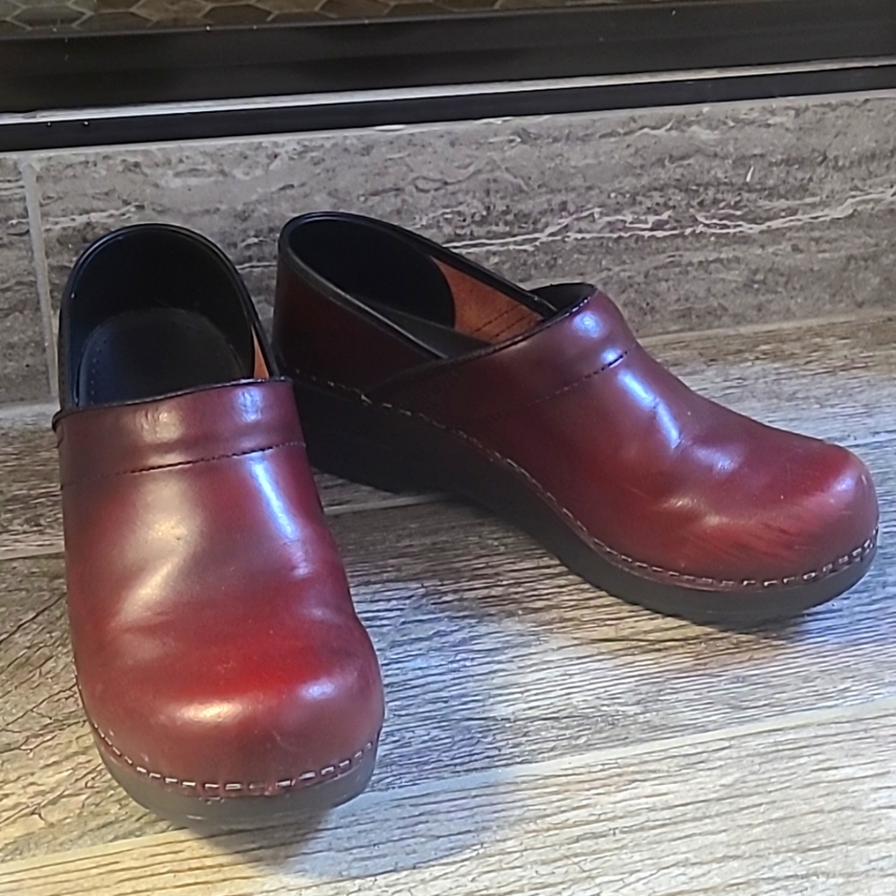 Sanita Clog